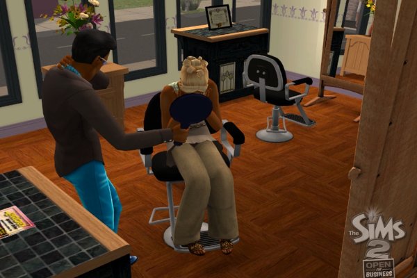 The Sims 2: Open for Business pilt 6525