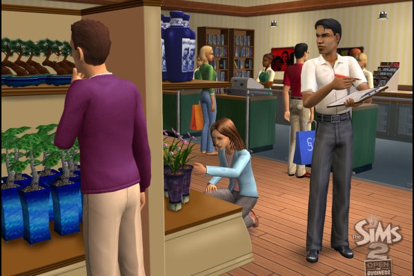 The Sims 2: Open for Business pilt 6527