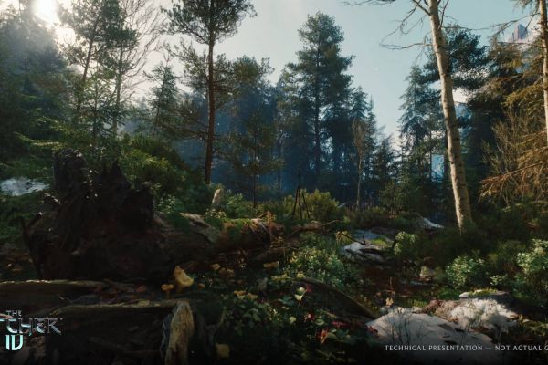 The Witcher IV pilt 1226