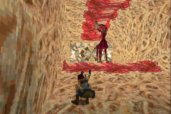 Tomb Raider Gold pilt 5917