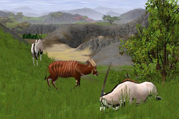 Wildlife Park 2 pilt 1434