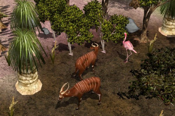 Wildlife Park 2 pilt 1435