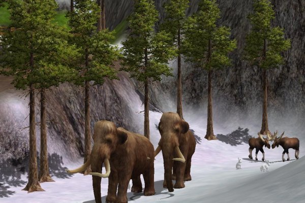 Wildlife Park 2 pilt 1436