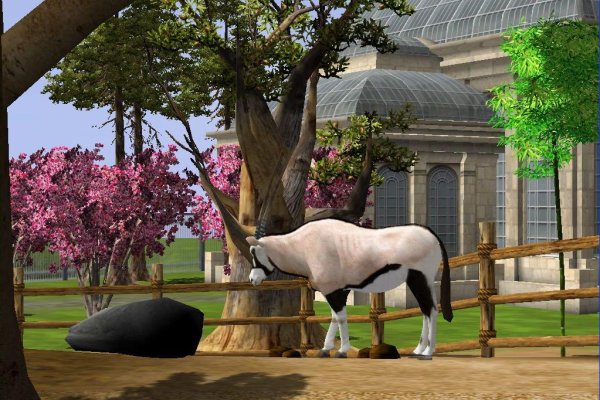 Wildlife Park 2 pilt 1438