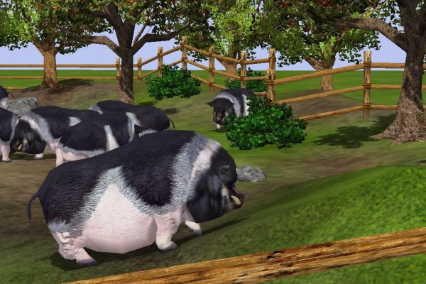 Wildlife Park 2 pilt 1439