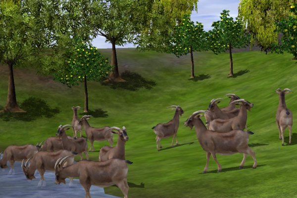 Wildlife Park 2 pilt 1443