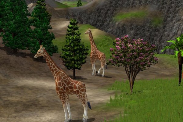 Wildlife Park 2 pilt 1445