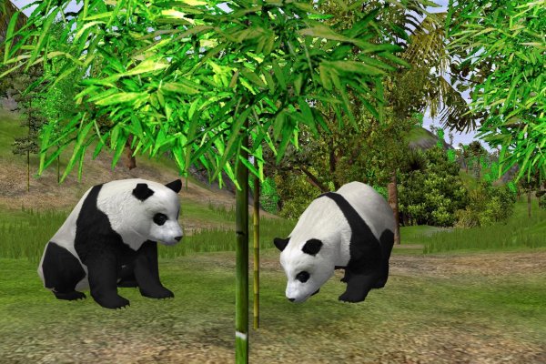 Wildlife Park 2 pilt 1449