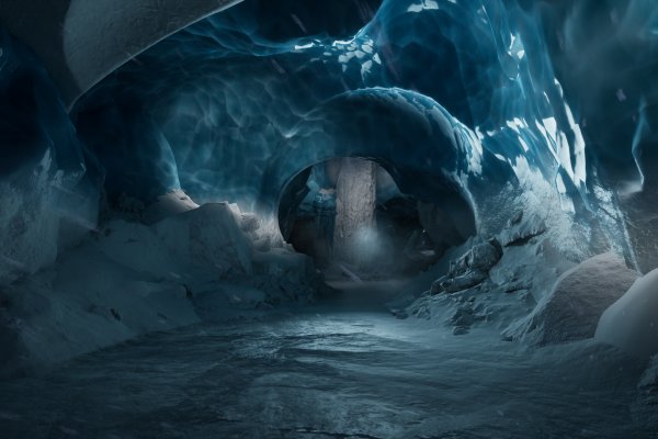 WILL: Follow The Light pilt 5135