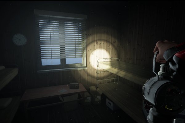 WILL: Follow The Light pilt 5137