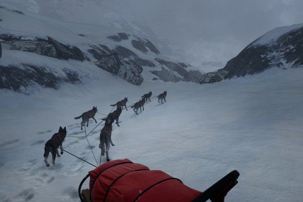 WILL: Follow The Light pilt 5141