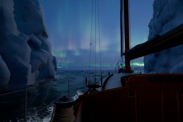 WILL: Follow The Light pilt 5142