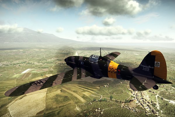 Wings of Prey pilt 5080