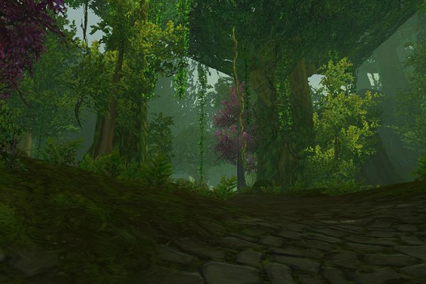 World of Warcraft pilt 1760