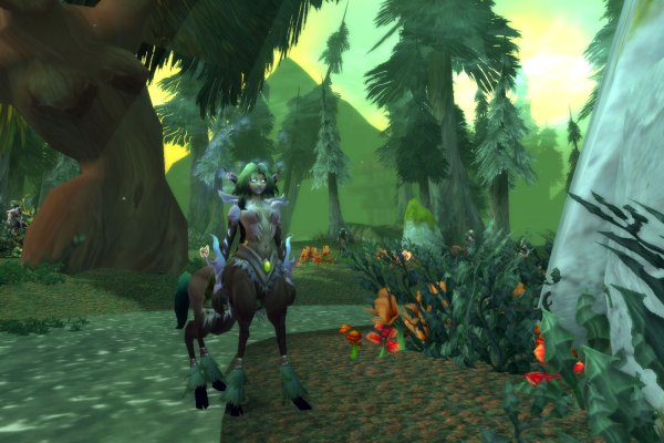 World of Warcraft: Wrath of the Lich King pilt 2172