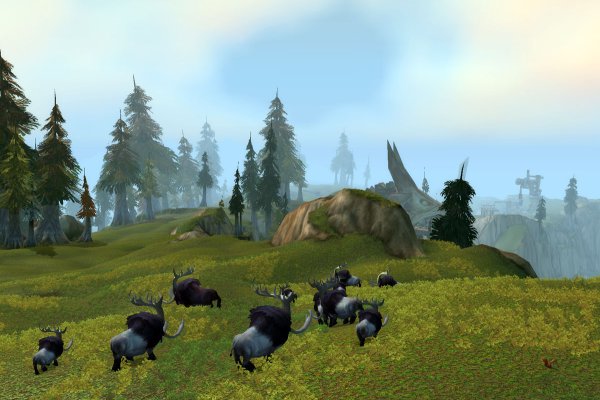 World of Warcraft: Wrath of the Lich King pilt 2192