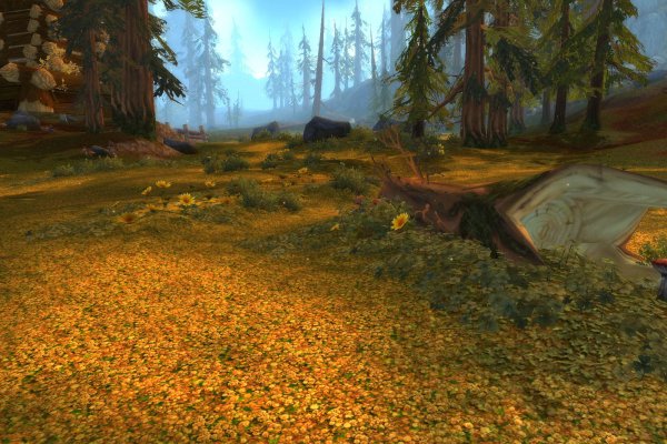 World of Warcraft: Wrath of the Lich King pilt 2186