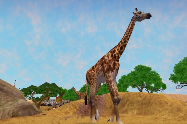 Zoo Tycoon 2: African Adventure pilt 6999 Zoo Tycoon 2: African Adventure pilt 6999