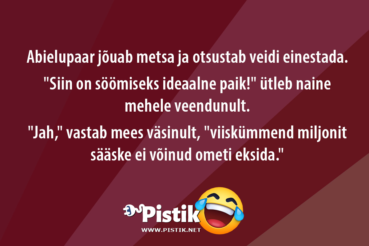 Abielupaar jõuab metsa ja otsustab veidi einestada. ...