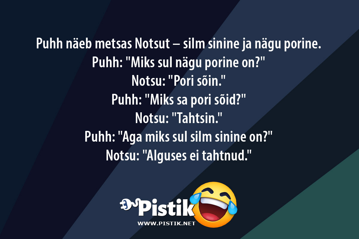 Puhh näeb metsas Notsut – silm sinine ja nägu porine. ...