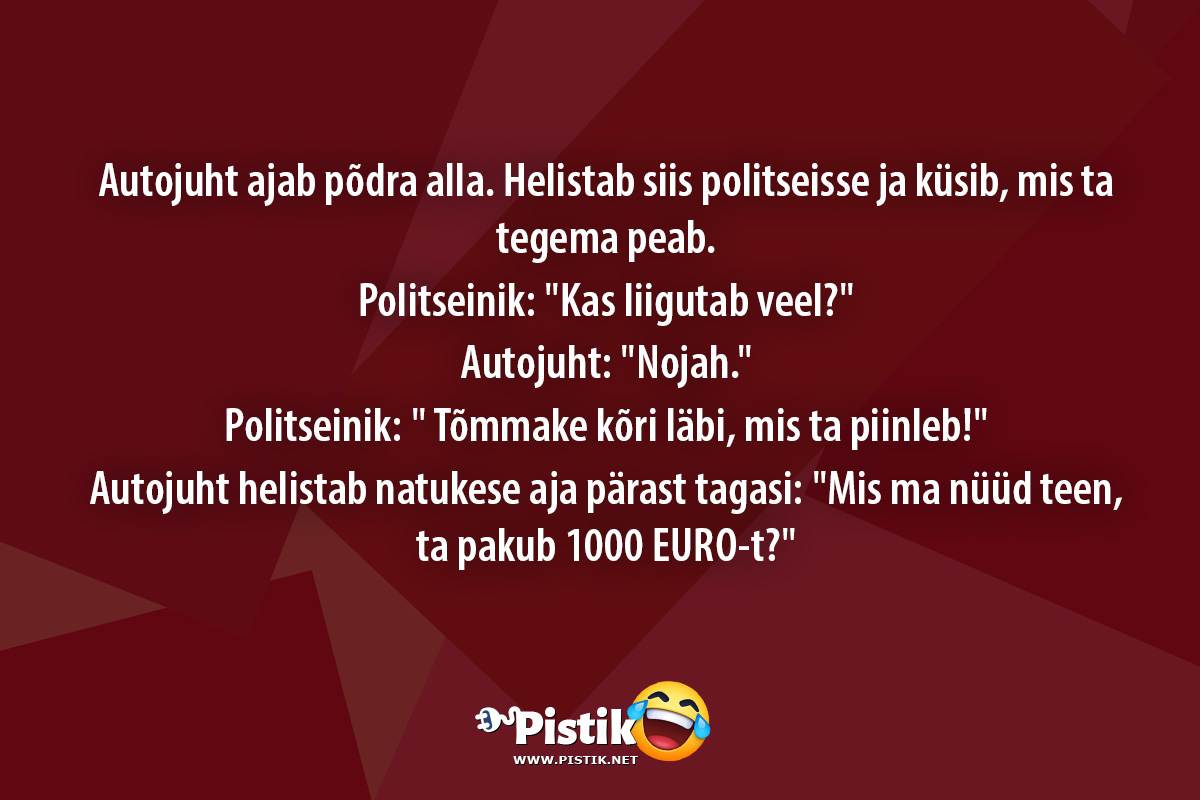 Autojuht ajab põdra alla. Helistab siis politseisse ja ...