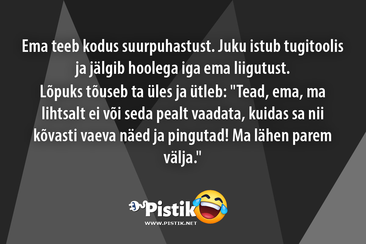 Ema teeb kodus suurpuhastust. Juku istub tugitoolis ja ...