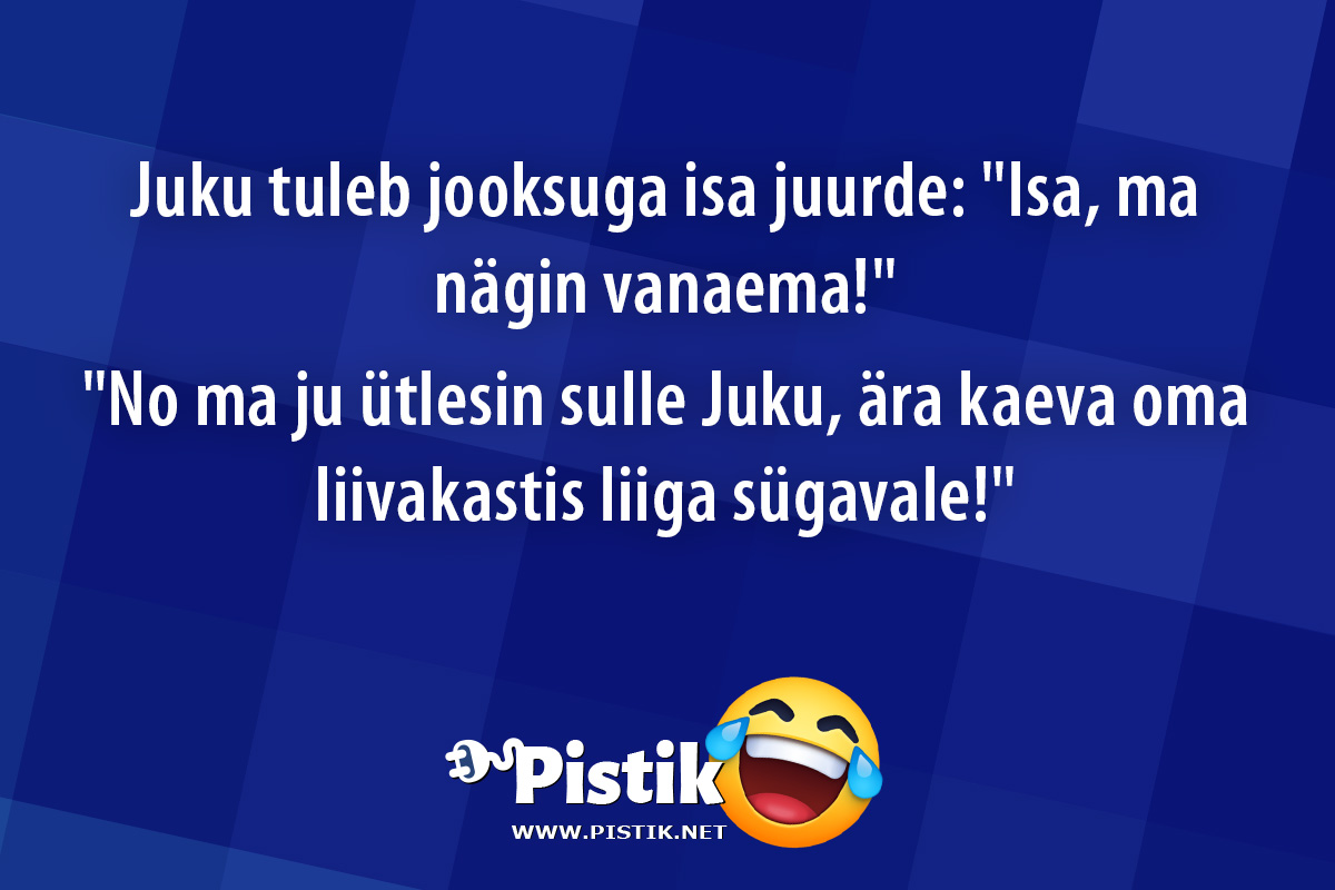 Juku tuleb jooksuga isa juurde: Isa, ma nägin vanaema! ...