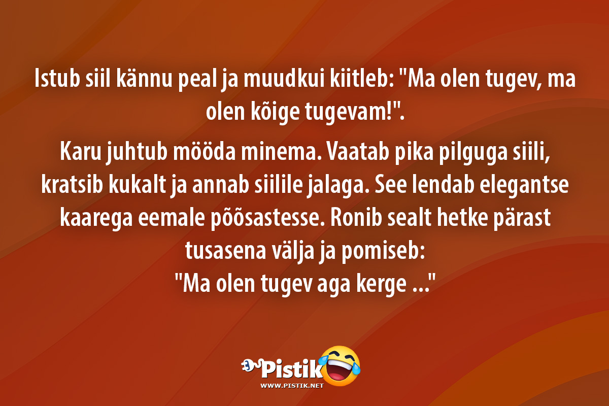 Istub siil kännu peal ja muudkui kiitleb: Ma olen tuge ...