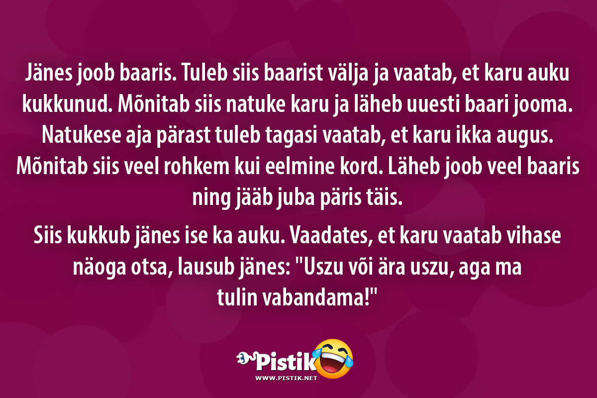 Jänes joob baaris. Tuleb siis baarist välja ja vaatab, ...