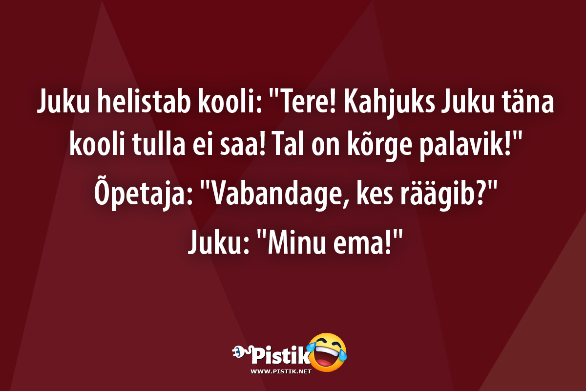 Juku helistab kooli: Tere! Kahjuks Juku täna kooli tul ...