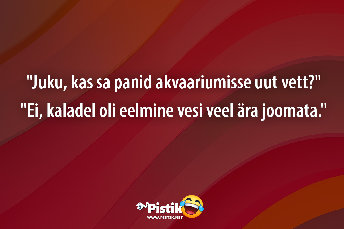  Juku, kas sa panid akvaariumisse uut vett? Ei, ...