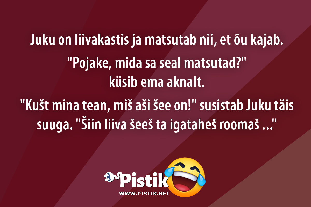 Juku on liivakastis ja matsutab nii, et õu kajab. ...