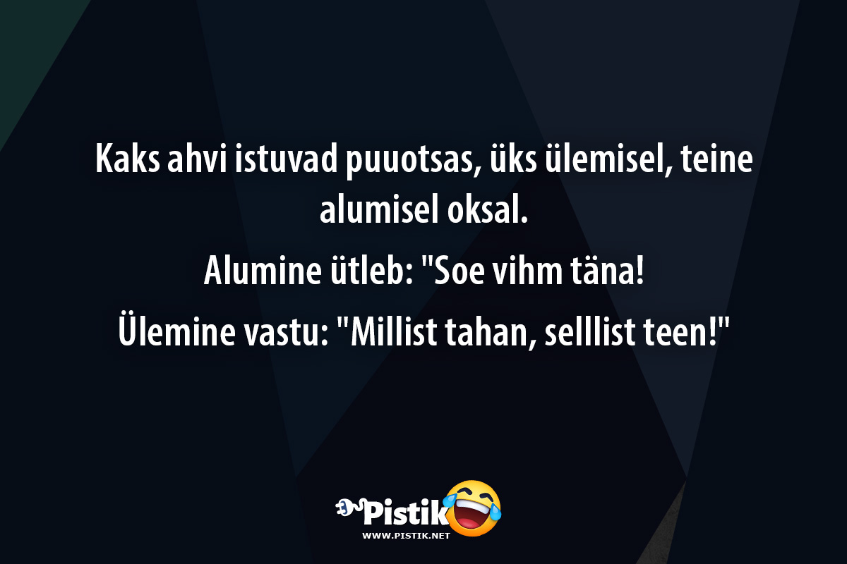 Kaks ahvi istuvad puuotsas, üks ülemisel, teine alumise ...