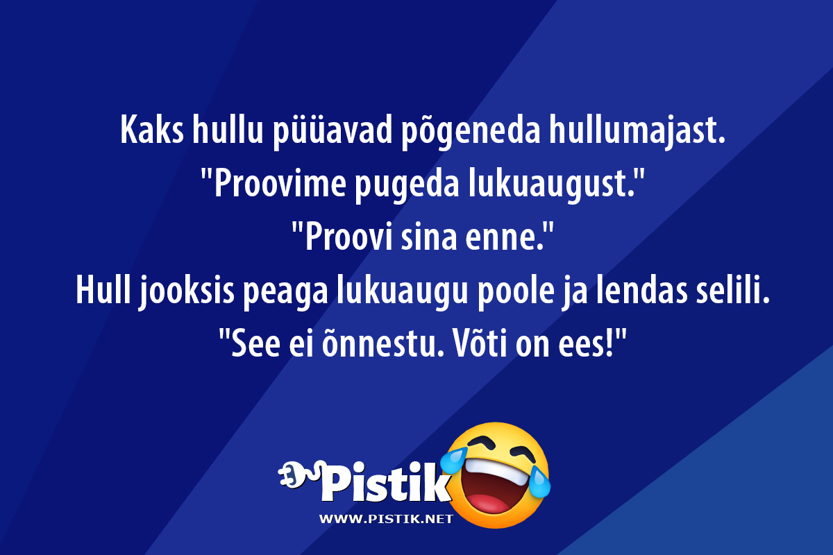 Kaks hullu püüavad põgeneda hullumajast. Proovime ...