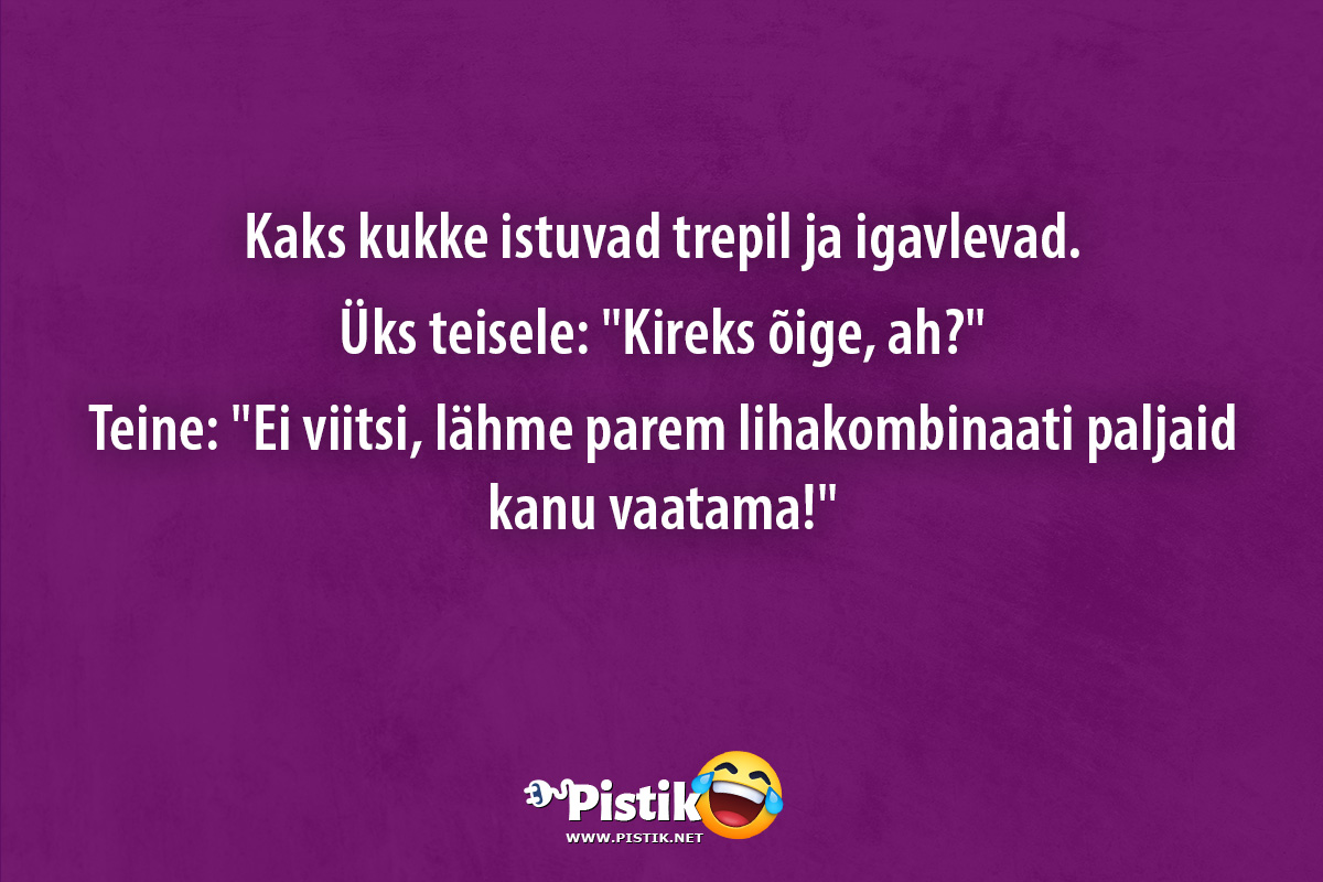 Kaks kukke istuvad trepil ja igavlevad.Üks teisele: Ki ...