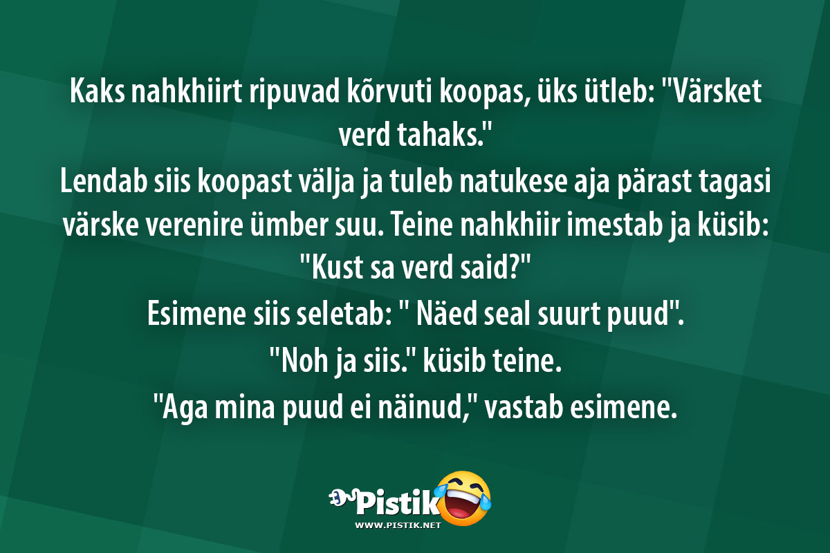 Kaks nahkhiirt ripuvad kõrvuti koopas, üks ütleb: Värs ...