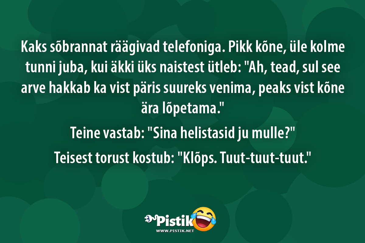 Kaks sõbrannat räägivad telefoniga. Pikk kõne, üle kolm ...