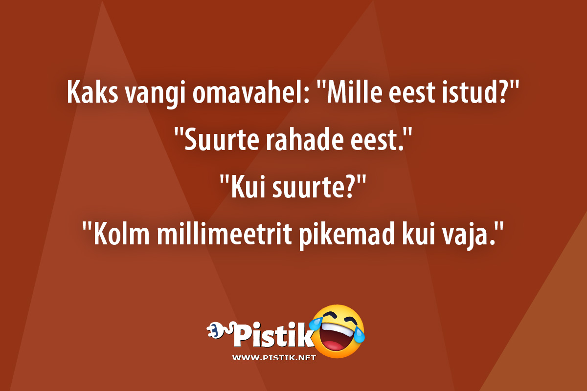 Kaks vangi omavahel: Mille eest istud? Suurte r ...