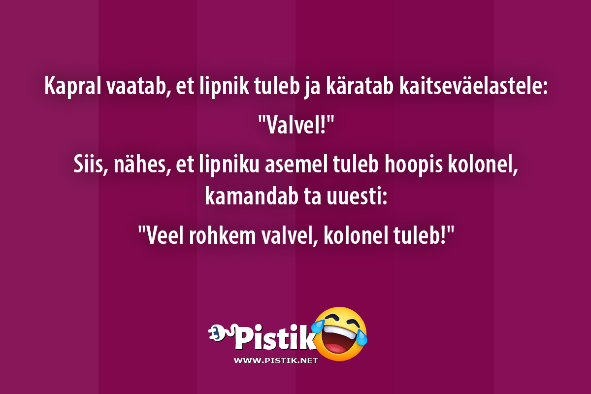 Kapral vaatab, et lipnik tuleb ja käratab kaitseväelast ...