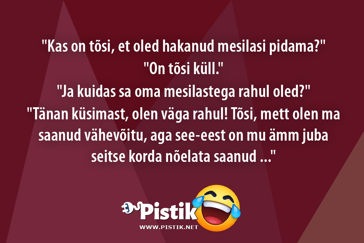  Kas on tõsi, et oled hakanud mesilasi pidama? O ...