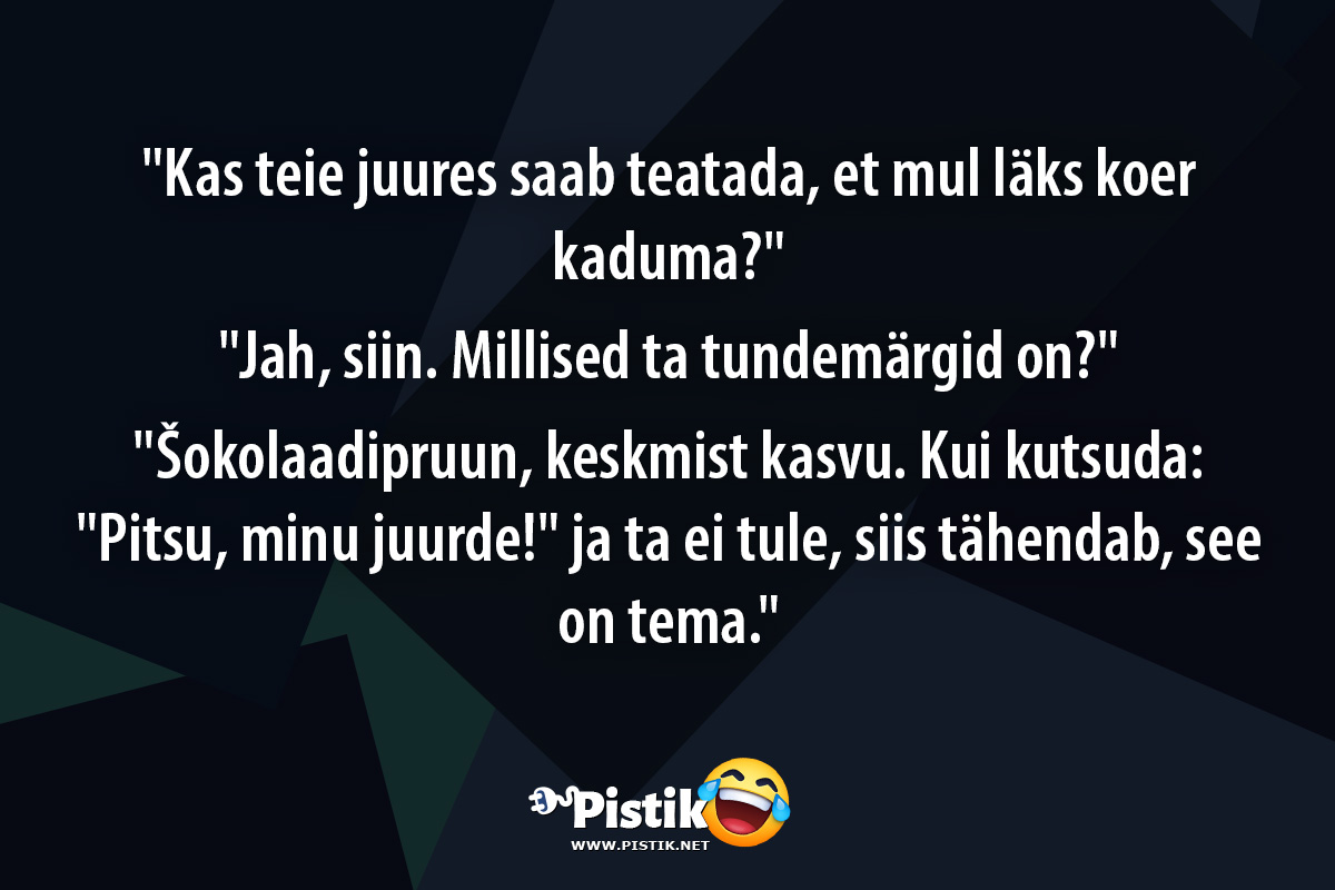  Kas teie juures saab teatada, et mul läks koer kaduma? ...