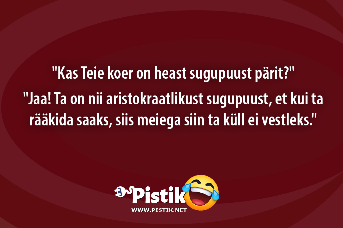  Kas Teie koer on heast sugupuust pärit? Jaa! Ta ...