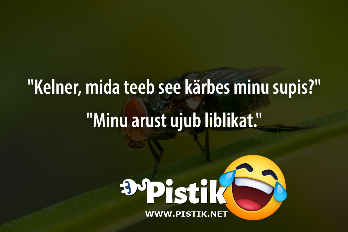  Kelner, mida teeb see kärbes minu supis? Minu a ...