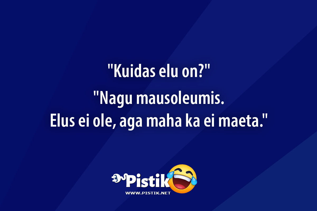 Kuidas elu on? Nagu mausoleumis. Elus ei ole, ...