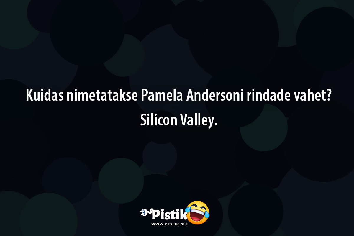 Kuidas nimetatakse Pamela Andersoni rindade vahet? ...