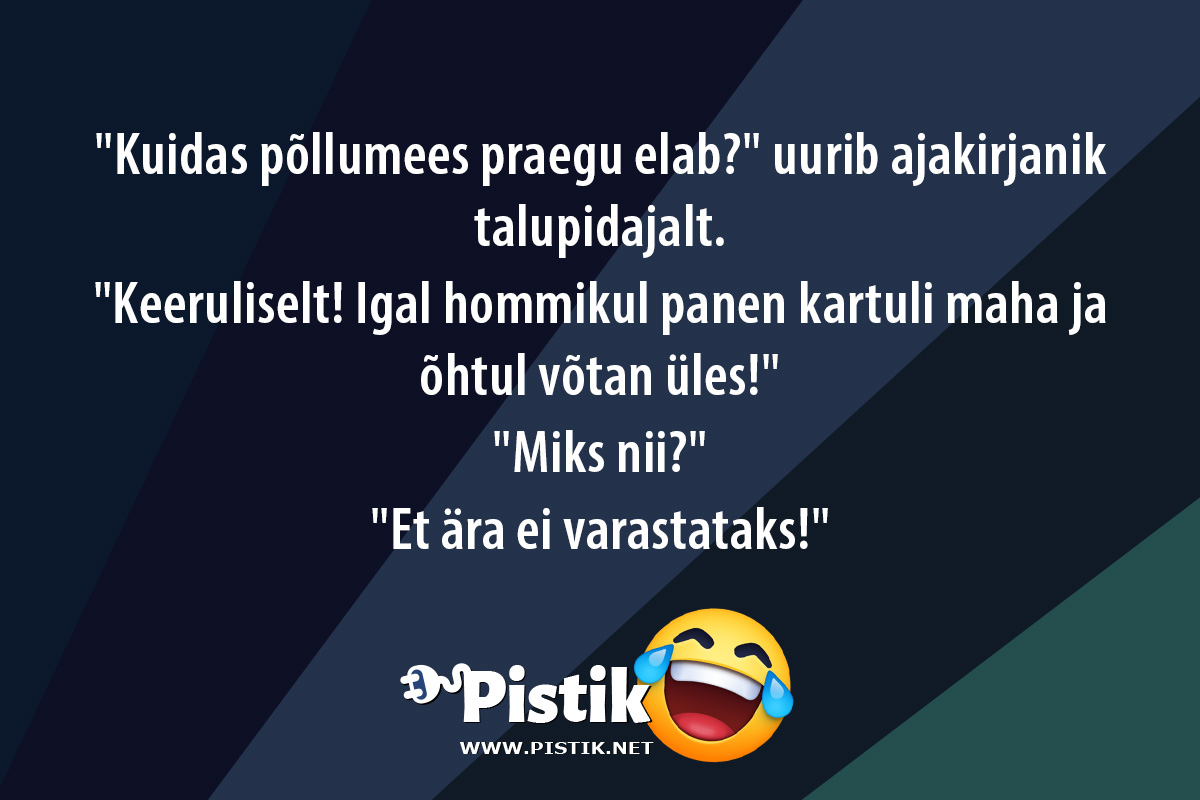  Kuidas põllumees praegu elab? uurib ajakirjanik talup ...