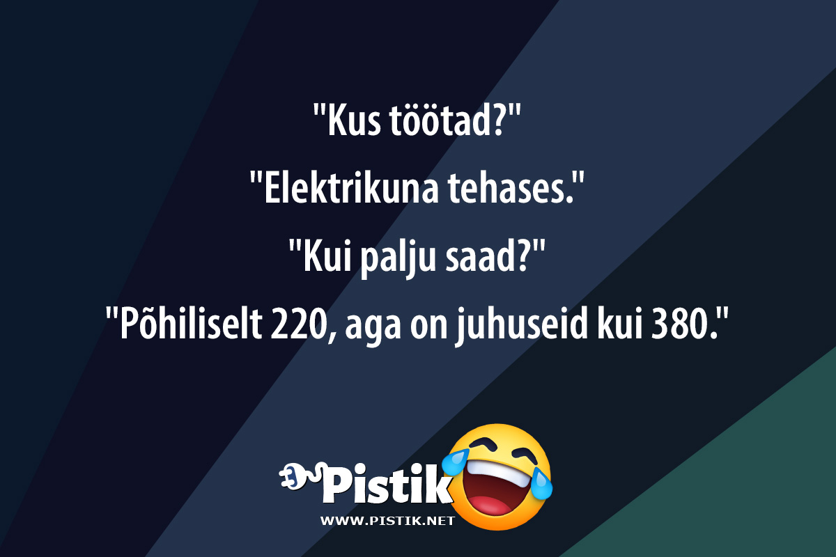  Kus töötad? Elektrikuna tehases. Kui pal ...