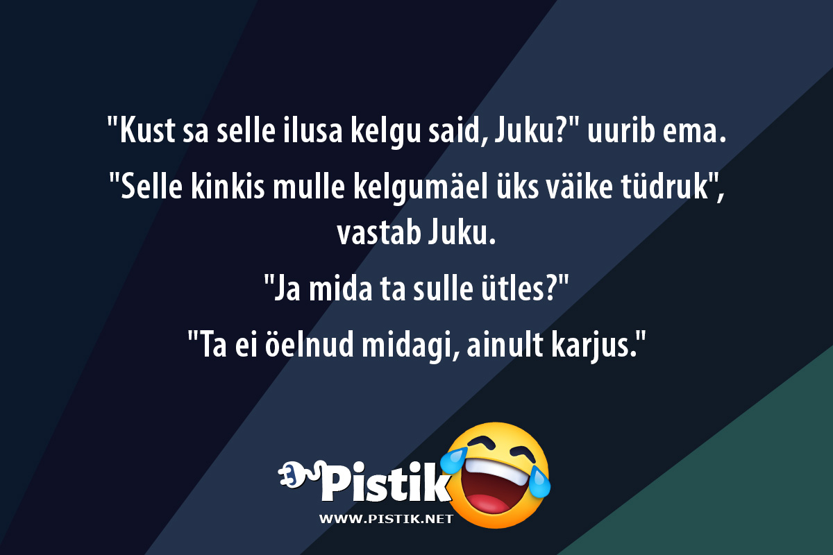  Kust sa selle ilusa kelgu said, Juku? uurib ema. ...