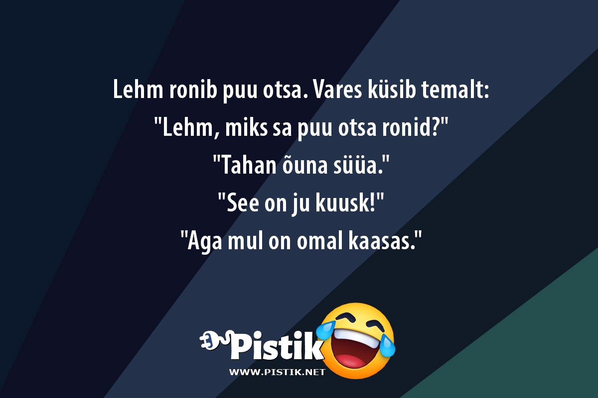 Lehm ronib puu otsa. Vares küsib temalt: Lehm, mi ...