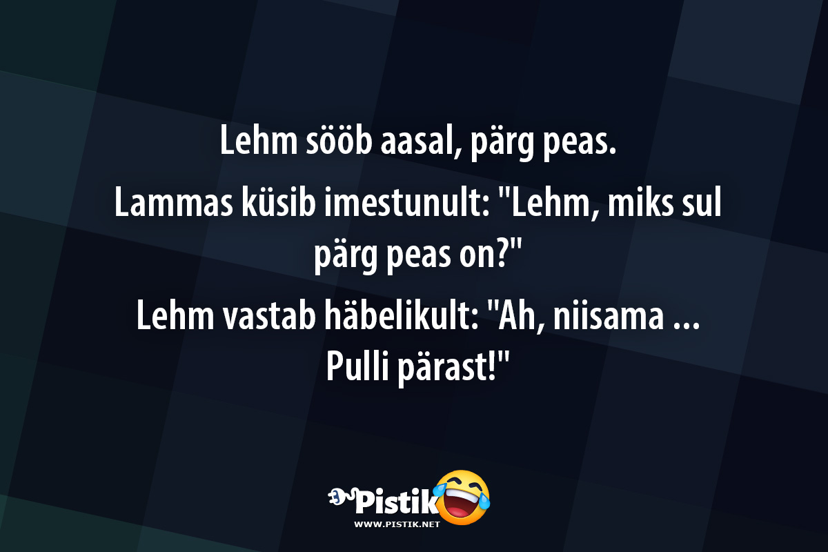 Lehm sööb aasal, pärg peas. Lammas küsib imestunu ...